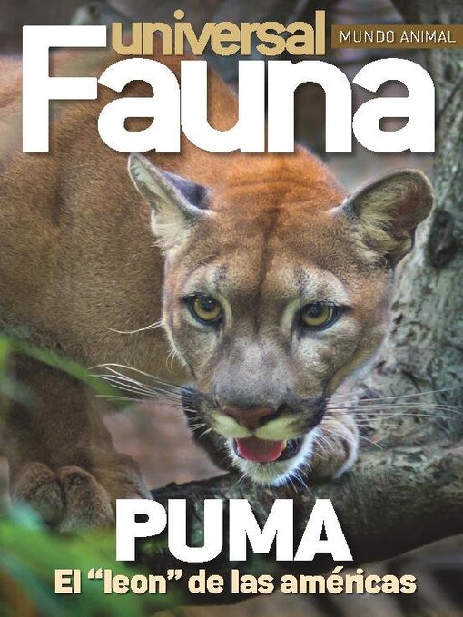 Title details for Fauna Universal by Media Contenidos - Available